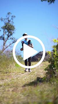 BIB:  <button type="button" onclick="openModal(26596256)" class="btn btn-primary btn-sm float-right" data-toggle="modal" data-target=".modal-high-quality">
                <i class="fa fa-download"></i> Download
                </button>